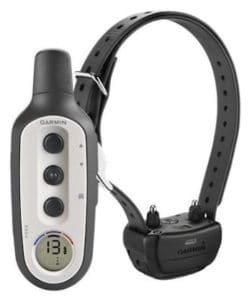 Shock collar for outlet great dane