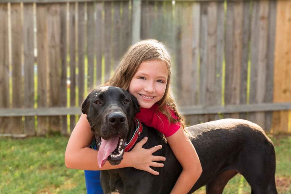 are great danes good with kids