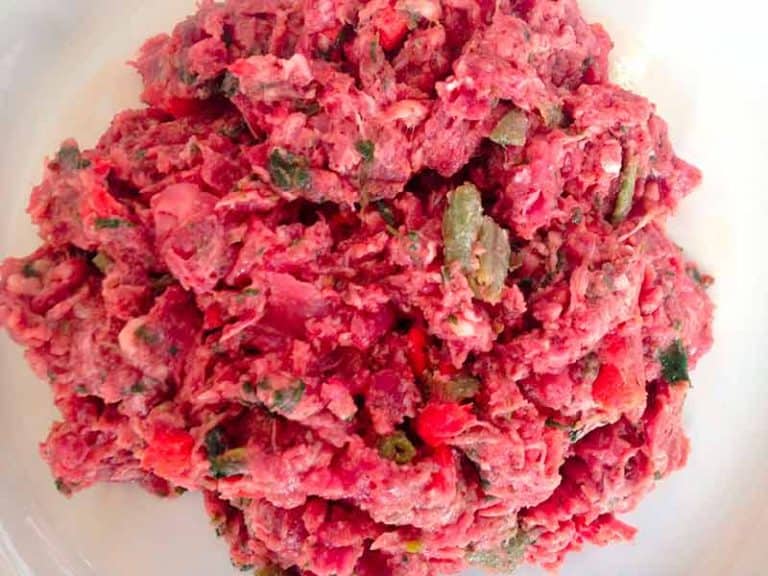 Tips & Tricks on Implementing a Raw Diet for Great Danes