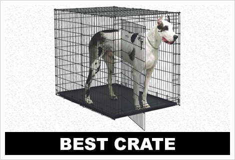 Great dane size clearance crate