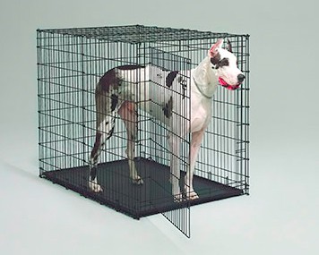 Great shop dane cage