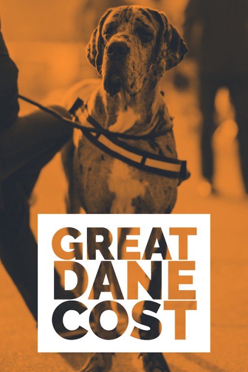 Great Dane Price Here's How Much They Cost! Great Dane Care
