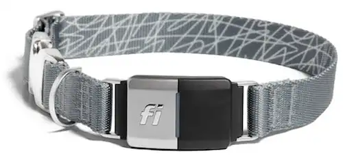 Fi Series 2 Smart Collar