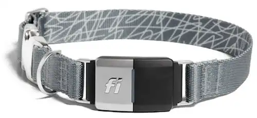 Gus  Fi Smart Dog Collar