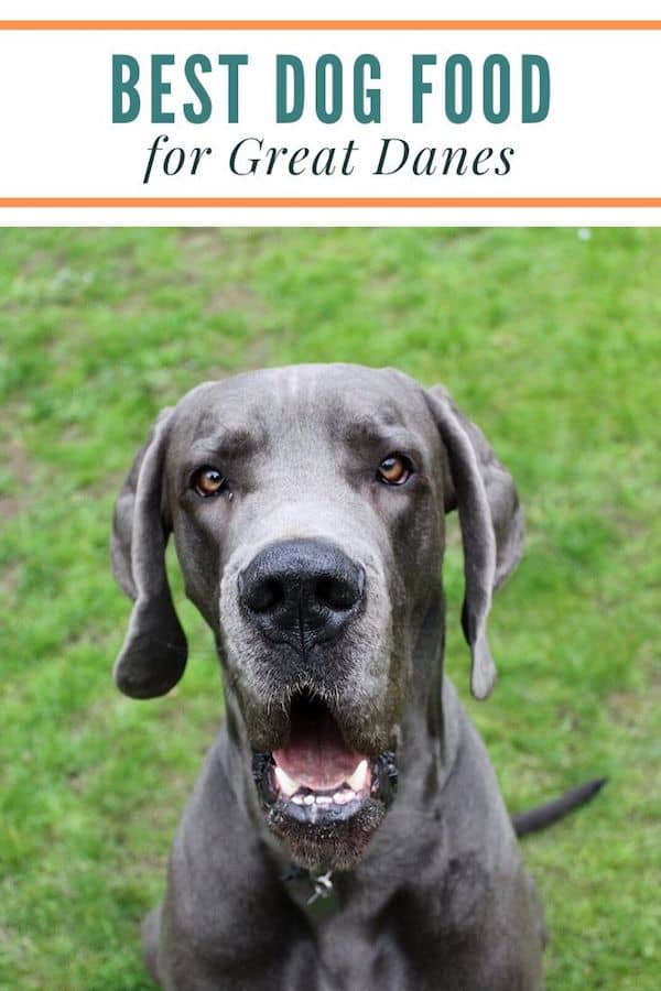 Good dog food for great clearance danes