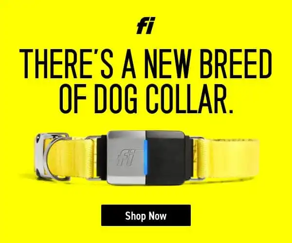 Fi Smart Collar