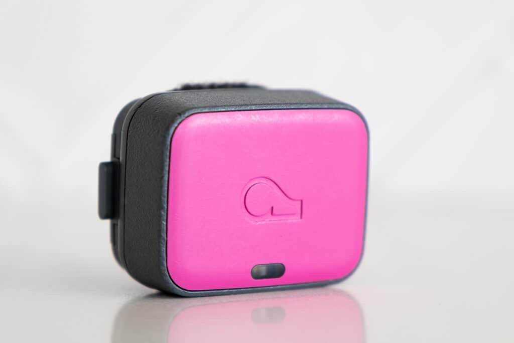 Fi vs Whistle Which Smart Dog Collar is Better? Great Dane Care