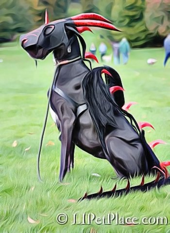 22 Fantastic Great Dane Halloween Costumes Ideas Great Dane Care