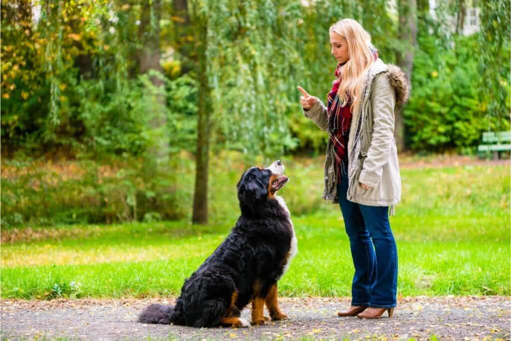 Girl in Park Training Dog