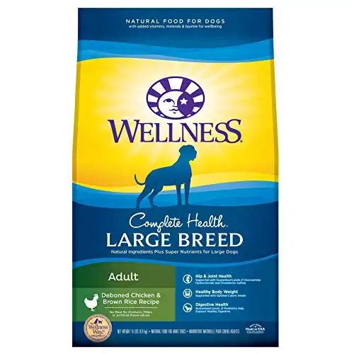 Best dog food for shop great danes with sensitive stomachs