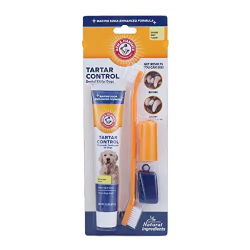 Pet Tartar Control Kit