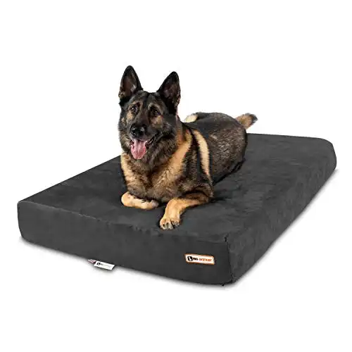 Big barker clearance dog bed uk