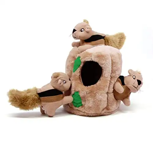 Outward Hound Puzzle Toys