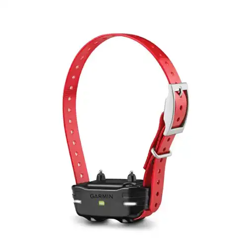 Garmin PT10 Training Collar