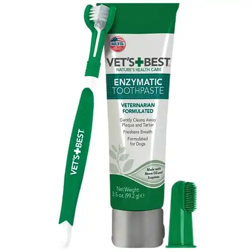 Toothbrush & Enzymatic Toothpaste Kit