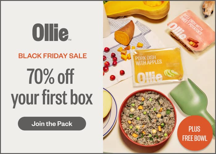 Ollie Fresh Food